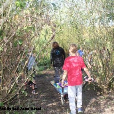 forest schools 2016